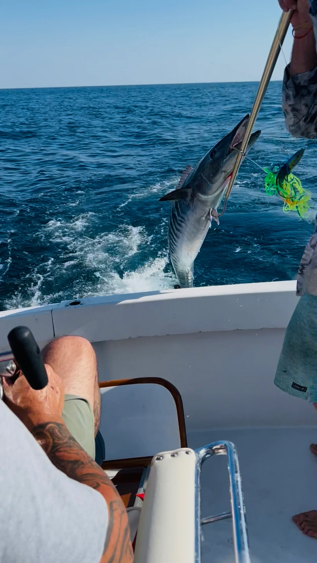 Deep sea fishing catch display on Deep South Charters Orange Beach Alabama